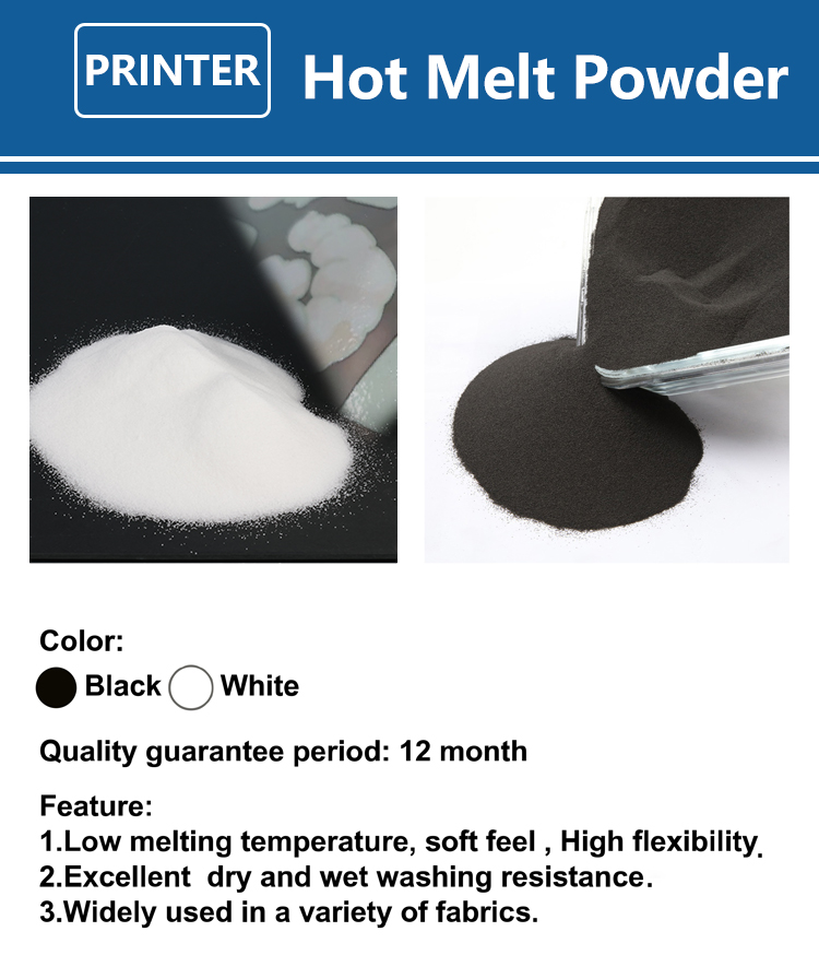 1000g 1kg DTF Powder Fine Powd - Dtf Printer Machine ulasan dan harga